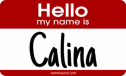 Hello my name is Calina png download