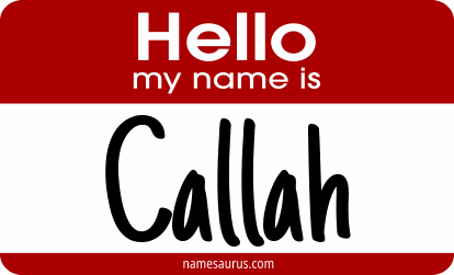 Hello my name is Callah png download