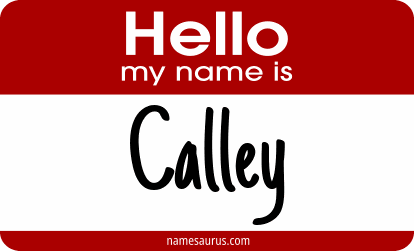 Hello my name is Calley png download