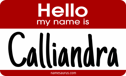 Hello my name is Calliandra png download