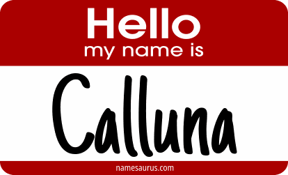Hello my name is Calluna png download