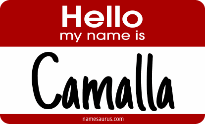 Hello my name is Camalla png download