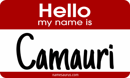 Hello my name is Camauri png download