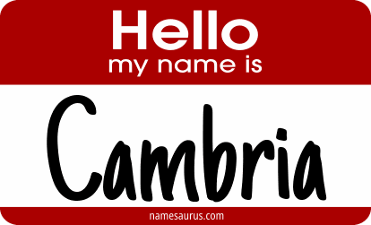 Hello my name is Cambria png download
