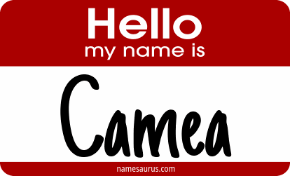 Hello my name is Camea png download