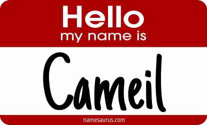Hello my name is Cameil png download