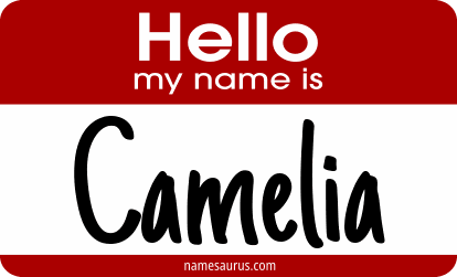 Hello my name is Camelia png download