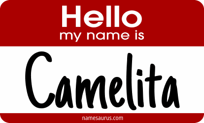 Hello my name is Camelita png download