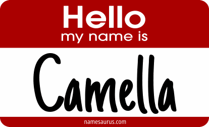 Hello my name is Camella png download