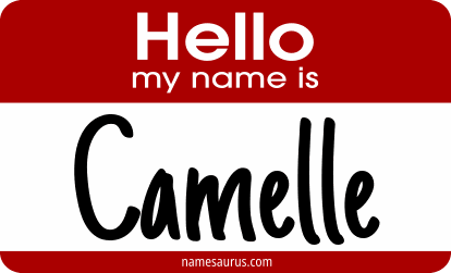 Hello my name is Camelle png download