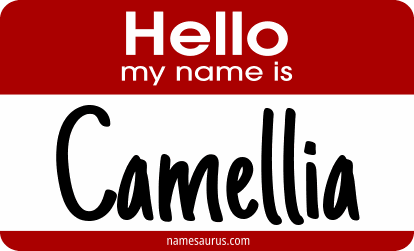 Hello my name is Camellia png download