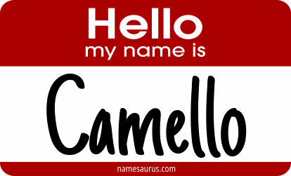 Hello my name is Camello png download