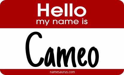 Hello my name is Cameo png download