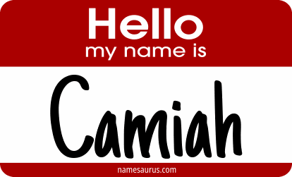 Hello my name is Camiah png download
