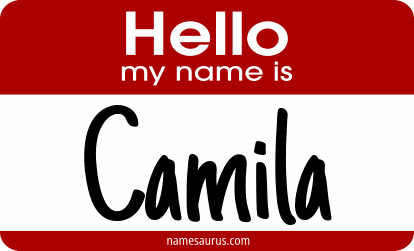 Hello my name is Camila png download