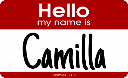 Hello my name is Camilla png download