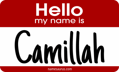 Hello my name is Camillah png download