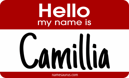 Hello my name is Camillia png download