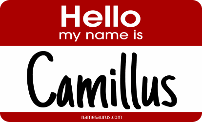 Hello my name is Camillus png download