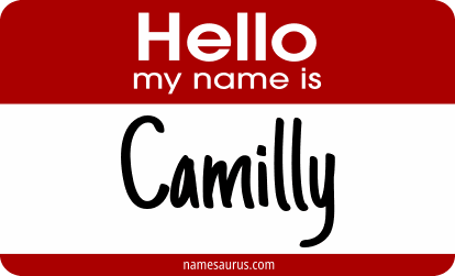 Hello my name is Camilly png download