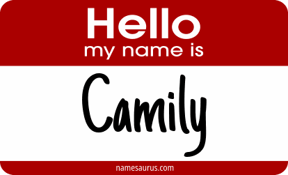 Hello my name is Camily png download