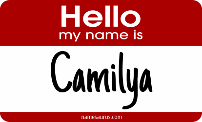 Hello my name is Camilya png download