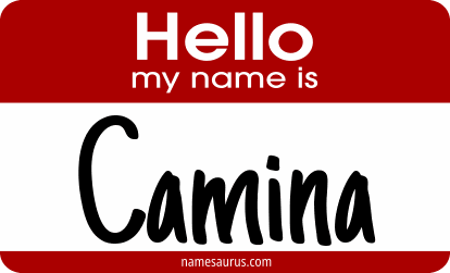 Hello my name is Camina png download