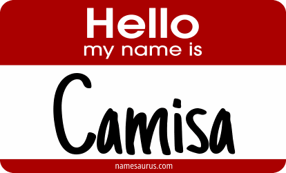 Hello my name is Camisa png download