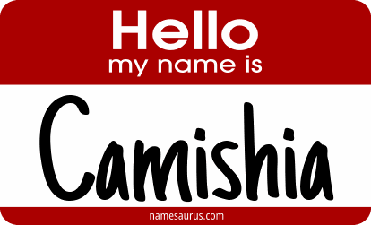 Hello my name is Camishia png download