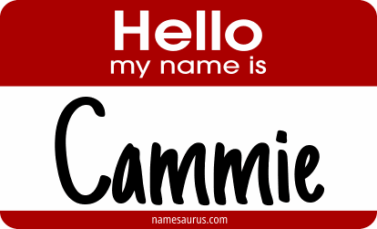 Hello my name is Cammie png download