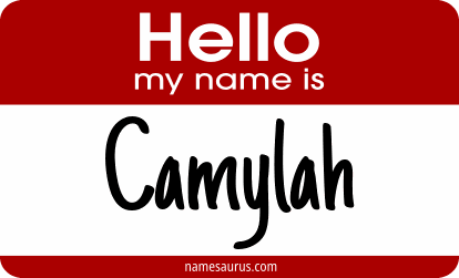 Hello my name is Camylah png download