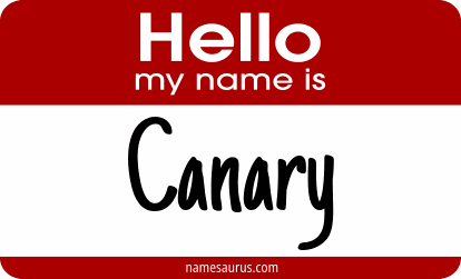 Hello my name is Canary png download