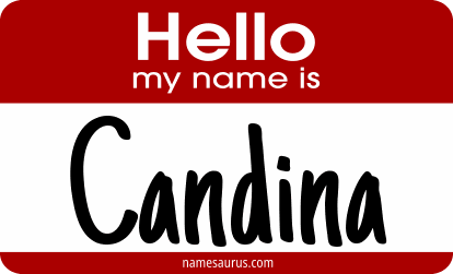 Hello my name is Candina png download