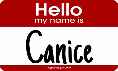 Hello my name is Canice png download