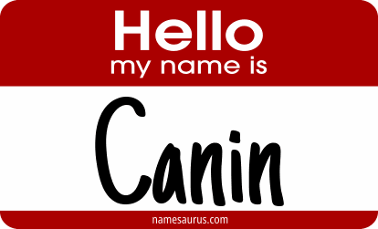 Hello my name is Canin png download