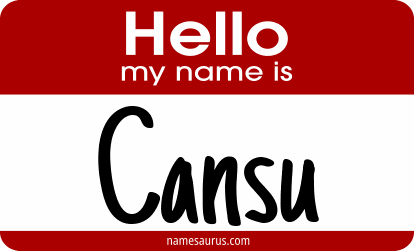 Hello my name is Cansu png download