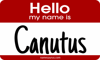 Hello my name is Canutus png download