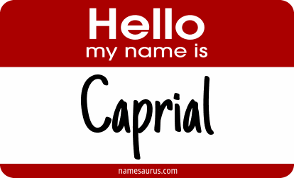 Hello my name is Caprial png download