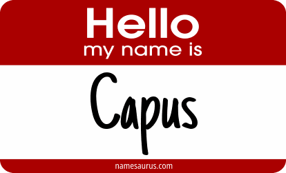 Hello my name is Capus png download