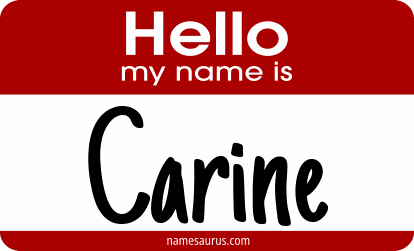 Hello my name is Carine png download