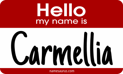 Hello my name is Carmellia png download