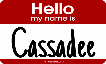 Hello my name is Cassadee png download