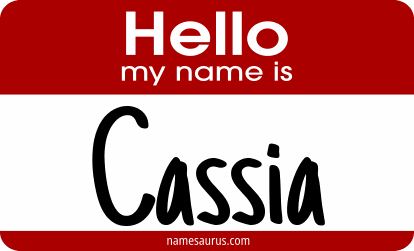 Hello my name is Cassia png download