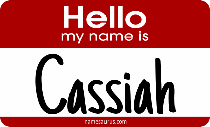 Hello my name is Cassiah png download