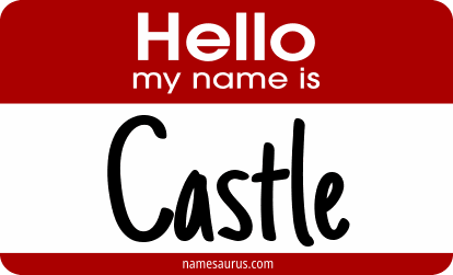 Hello my name is Castle png download