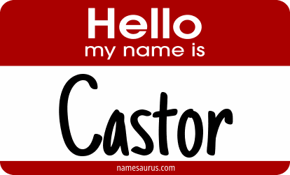 Hello my name is Castor png download