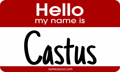 Hello my name is Castus png download
