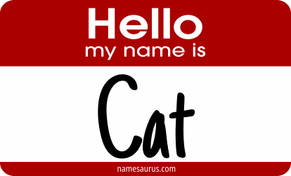 Hello my name is Cat png download