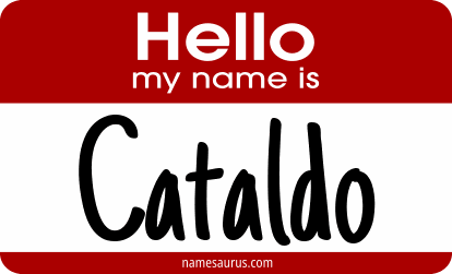 Hello my name is Cataldo png download