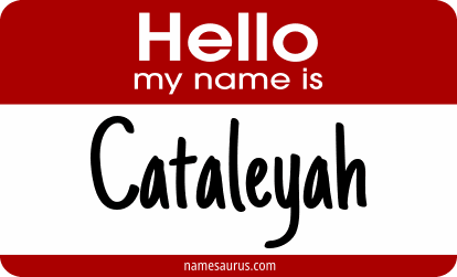 Hello my name is Cataleyah png download